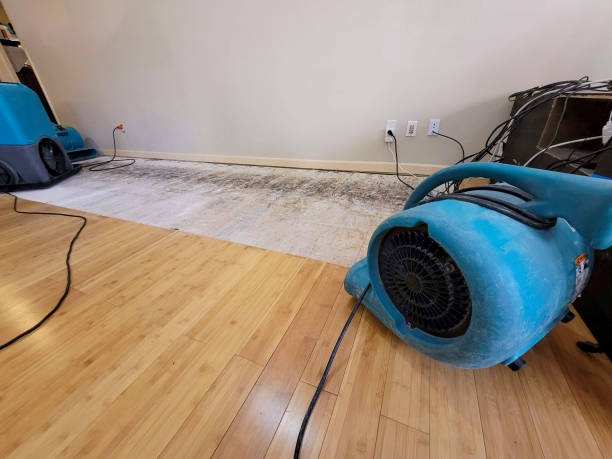 Professional Basement Flood Cleanup technician working in Vonore, TN